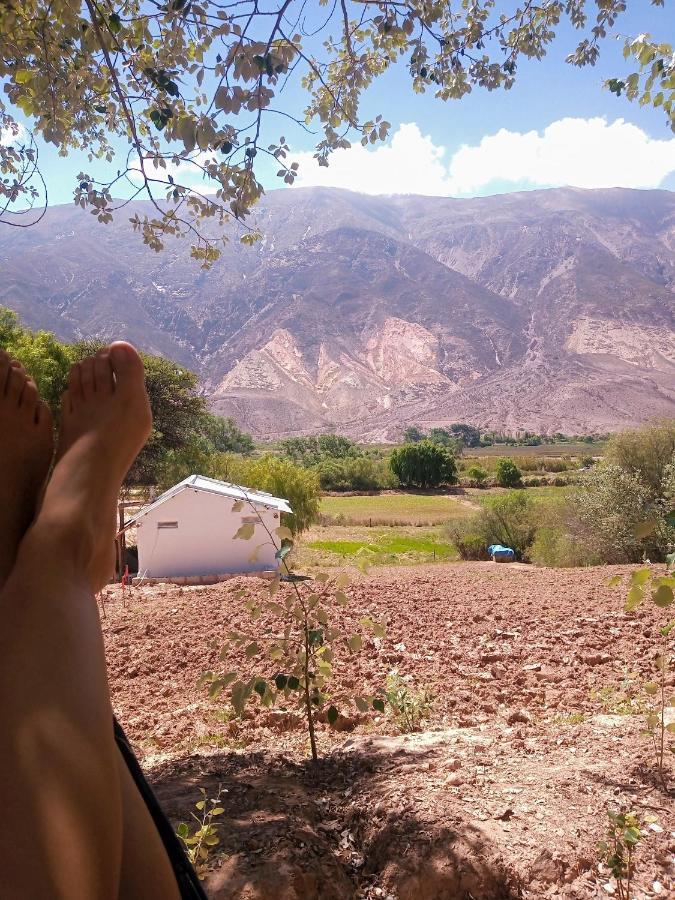 Dormir con llamas Maimará Exterior foto