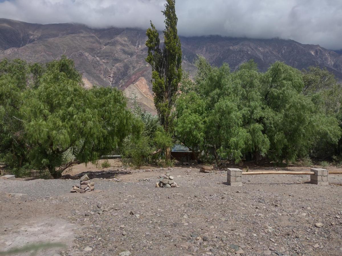 Dormir con llamas Maimará Exterior foto